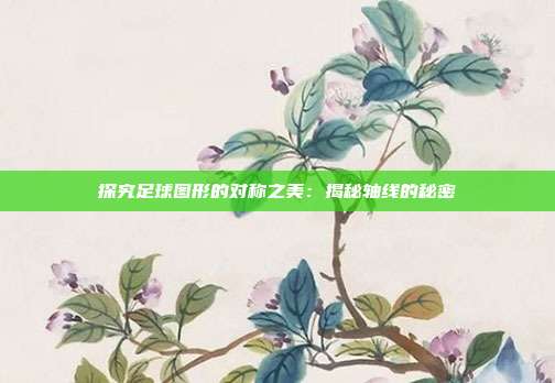 探究足球图形的对称之美：揭秘轴线的秘密