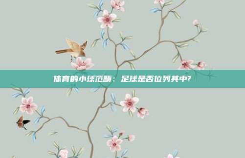 体育的小球范畴：足球是否位列其中?