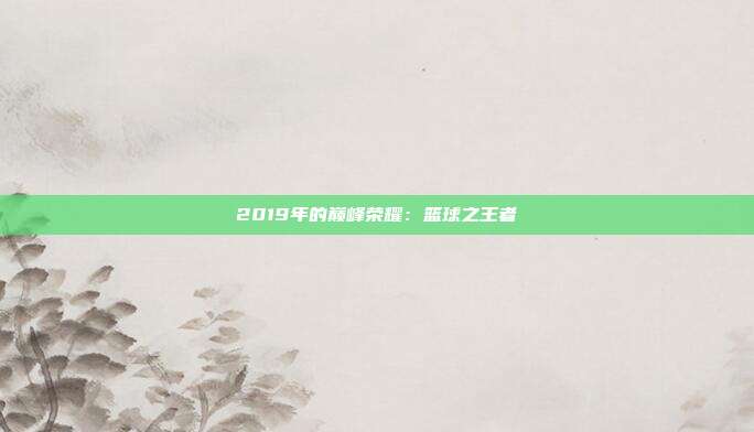 2019年的巅峰荣耀：篮球之王者