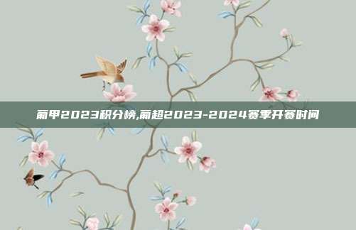 葡甲2023积分榜,葡超2023-2024赛季开赛时间