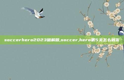 soccerhero2023破解版,soccer,hero第5关怎么触发