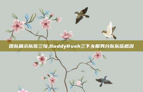 团队展示队歌三句,BuddyRush三下乡服务分队队伍概况