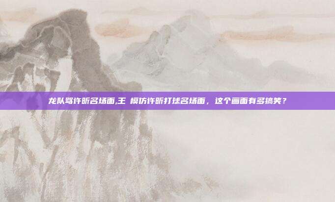 龙队骂许昕名场面,王濛模仿许昕打球名场面，这个画面有多搞笑？