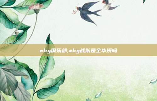 wbg俱乐部,wbg战队是全华班吗