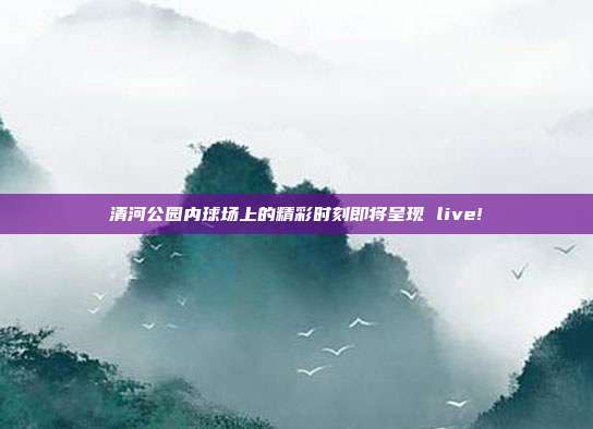 清河公园内球场上的精彩时刻即将呈现 live!