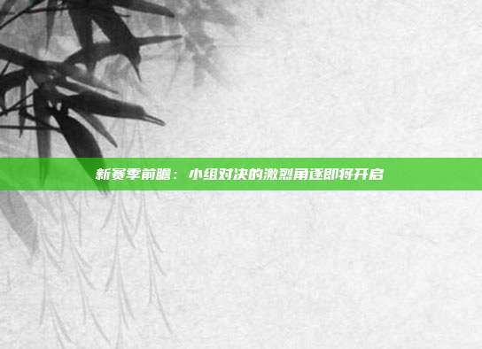 新赛季前瞻：小组对决的激烈角逐即将开启