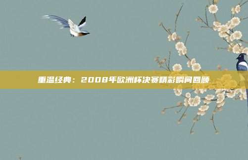 重温经典：2008年欧洲杯决赛精彩瞬间回顾