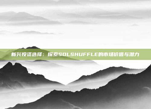 新兴投资选择：探索SOLSHUFFLE的市场价值与潜力