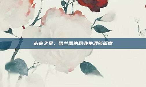 未来之星：哈兰德的职业生涯新篇章