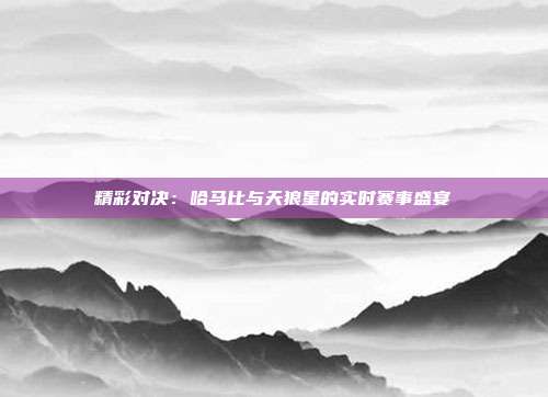 精彩对决：哈马比与天狼星的实时赛事盛宴