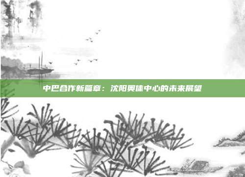 中巴合作新篇章：沈阳奥体中心的未来展望