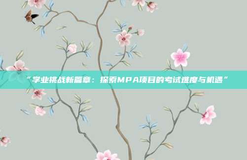 “学业挑战新篇章：探索MPA项目的考试难度与机遇”