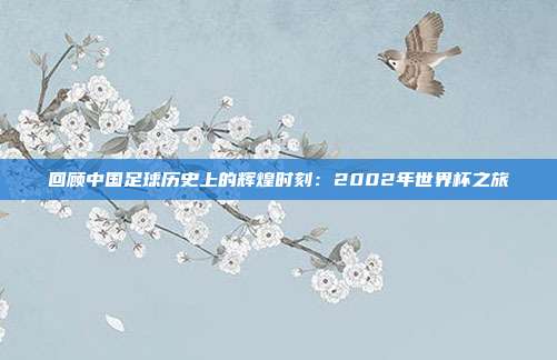 回顾中国足球历史上的辉煌时刻：2002年世界杯之旅