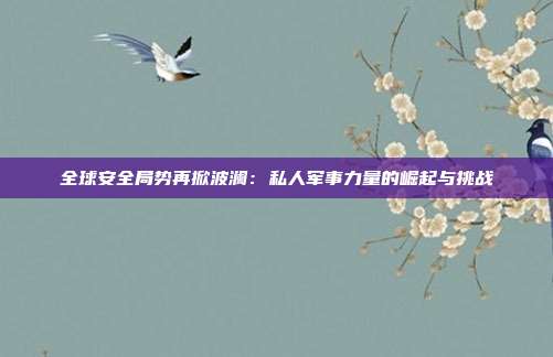 全球安全局势再掀波澜：私人军事力量的崛起与挑战