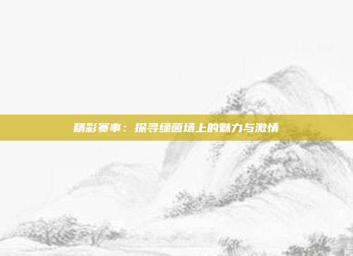 精彩赛事：探寻绿茵场上的魅力与激情