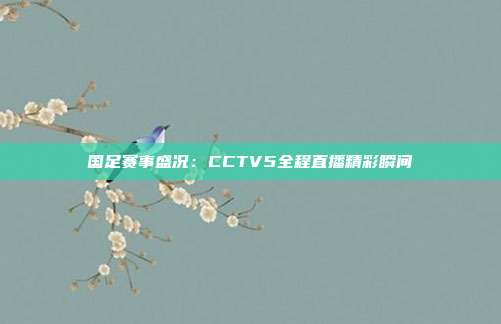 国足赛事盛况：CCTV5全程直播精彩瞬间