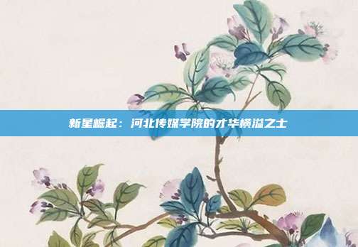 新星崛起：河北传媒学院的才华横溢之士