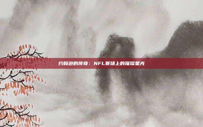 约翰逊的传奇：NFL赛场上的璀璨星光