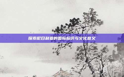 探索尼日利亚的国际标识与文化意义