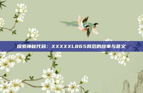 探索神秘代码：XXXXXL865背后的故事与意义