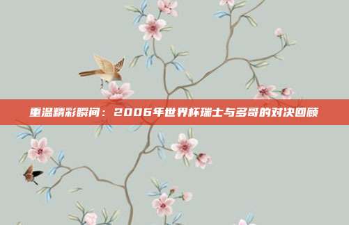 重温精彩瞬间：2006年世界杯瑞士与多哥的对决回顾