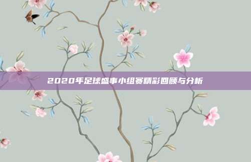 2020年足球盛事小组赛精彩回顾与分析