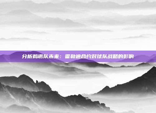 分析鹈鹕队未来：霍勒迪合约对球队战略的影响