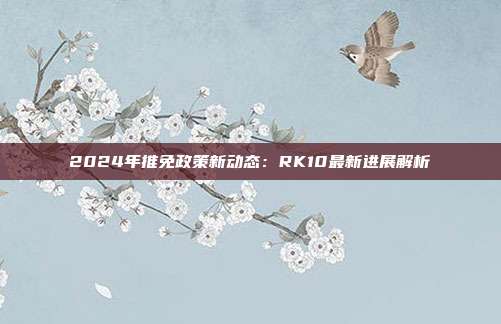 2024年推免政策新动态：RK10最新进展解析