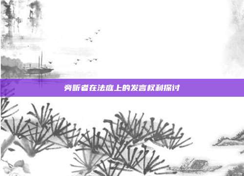 旁听者在法庭上的发言权利探讨