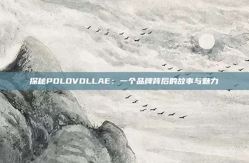 探秘POLOVOLLAE：一个品牌背后的故事与魅力