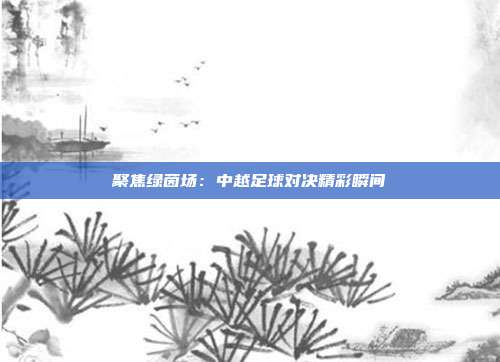 聚焦绿茵场：中越足球对决精彩瞬间