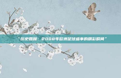 “历史回顾：2008年欧洲足球盛事的精彩瞬间”