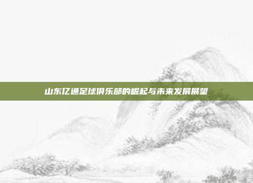 山东亿通足球俱乐部的崛起与未来发展展望