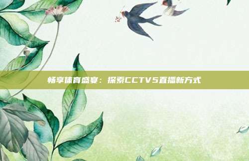 畅享体育盛宴：探索CCTV5直播新方式