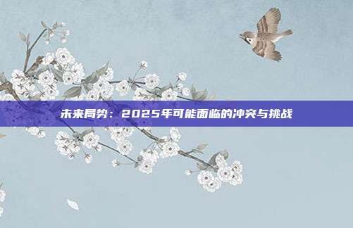 未来局势：2025年可能面临的冲突与挑战