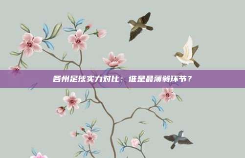 各州足球实力对比：谁是最薄弱环节？