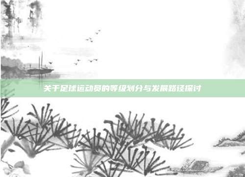 关于足球运动员的等级划分与发展路径探讨