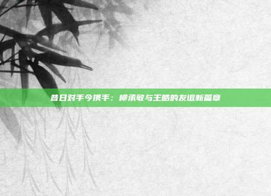 昔日对手今携手：柳承敏与王皓的友谊新篇章