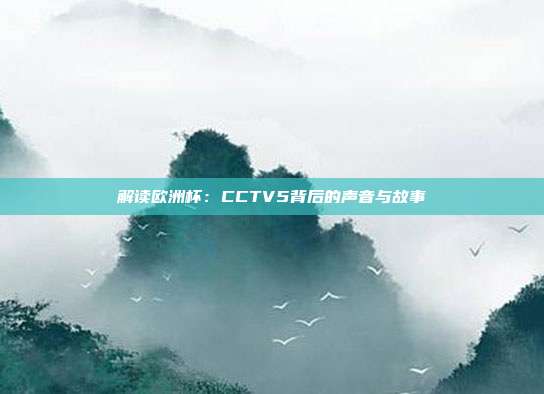 解读欧洲杯：CCTV5背后的声音与故事