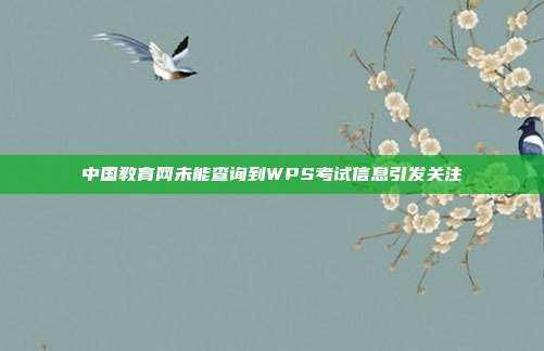 中国教育网未能查询到WPS考试信息引发关注