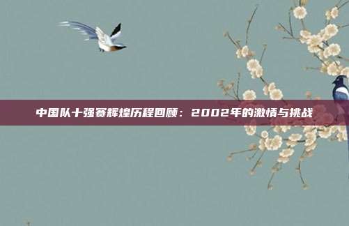 中国队十强赛辉煌历程回顾：2002年的激情与挑战