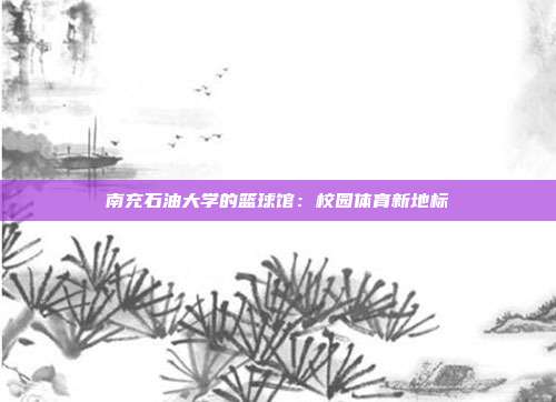 南充石油大学的篮球馆：校园体育新地标