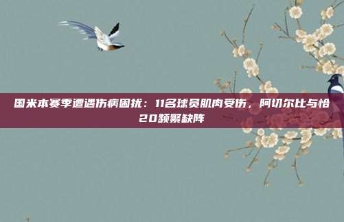 国米本赛季遭遇伤病困扰：11名球员肌肉受伤，阿切尔比与恰20频繁缺阵