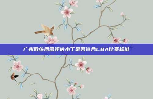 广州教练团需评估小丁是否符合CBA比赛标准