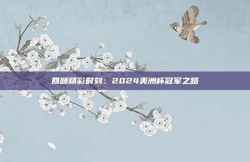 回顾精彩时刻：2024美洲杯冠军之路