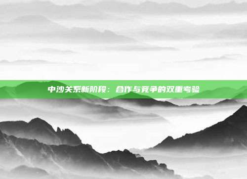 中沙关系新阶段：合作与竞争的双重考验