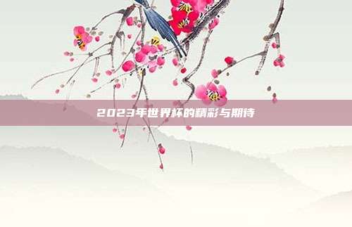 2023年世界杯的精彩与期待