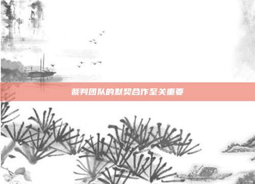 裁判团队的默契合作至关重要