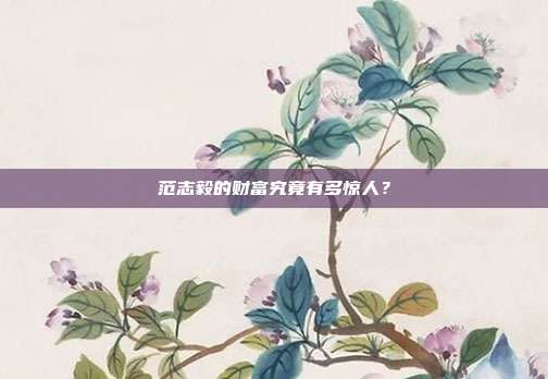 范志毅的财富究竟有多惊人？