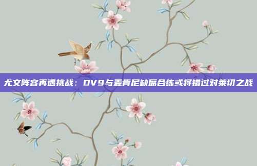 尤文阵容再遇挑战：DV9与麦肯尼缺席合练或将错过对莱切之战